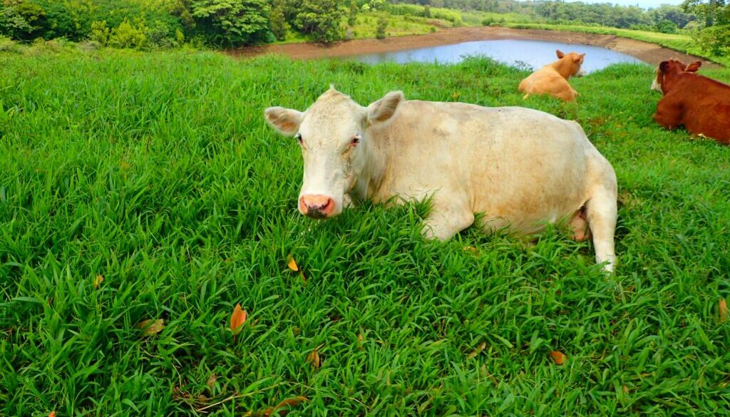 Best Hiking Spots, Haiku to Keanae, Maui